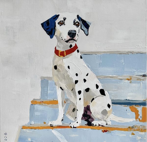 Pongo